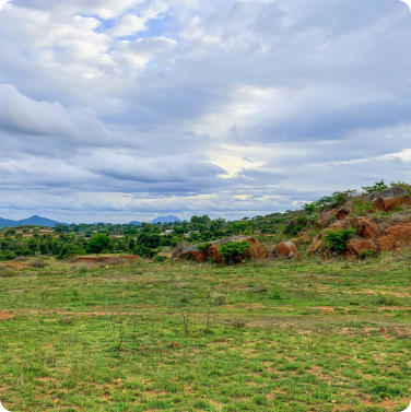 Gated Farm Land Near Bangalore